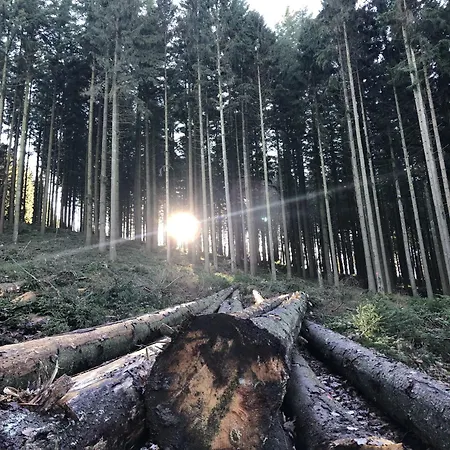 Le Du Temps Suspendu *